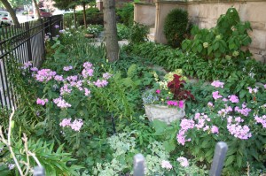 Good garden photo